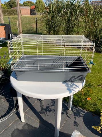 Konijnenkooi met houtvezel en hooi beschikbaar voor biedingen