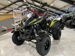 Kymco Maxxer 300 T3 B, Motoren, 300 cc, 12 t/m 35 kW