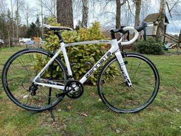 Zannata z81 the Shadow  carbon, Fietsen en Brommers, Ophalen, Gebruikt, Carbon