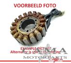 DYNAMO Kawasaki Z 900 2020-2024 (Z900 ZR900), Motoren, Gebruikt