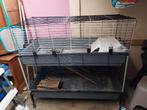 Konijn of caviahok, Dieren en Toebehoren, Knaagdieren en Konijnen | Hokken en Kooien, Ophalen, Gebruikt, Hok, Konijn