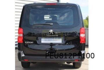 Peugeot Expert achterklep (bij vaste achterruit) (6/16-) (te