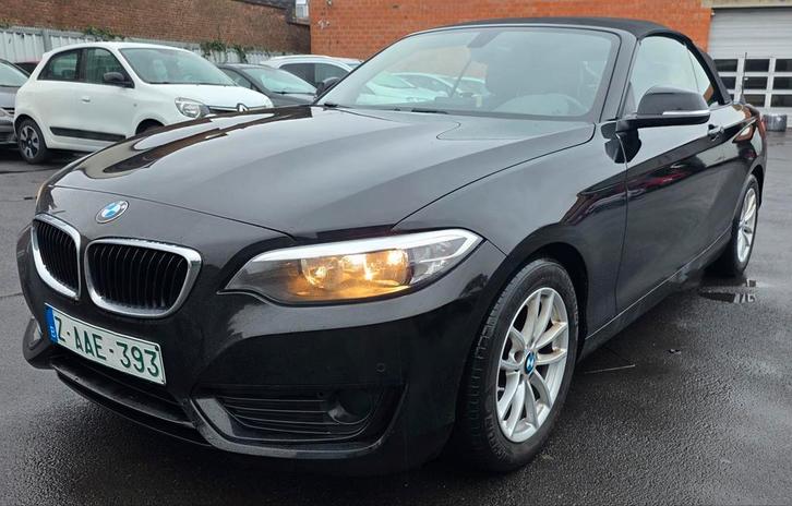 Bmw 220i Cabrio Euro 6 benzine, Auto's, BMW, Bedrijf, Te koop, 2 Reeks, ABS, Achteruitrijcamera, Airbags, Airconditioning, Bluetooth