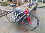 Koga Miyata Sportslady Z.G.A.N.;, Fietsen en Brommers, Meer dan 20 versnellingen, 50 tot 53 cm, Ophalen of Verzenden, Koga Miyata