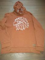 Hoodie bruin Fish and Chips maat 140, Kinderen en Baby's, Kinderkleding | Maat 140, Jongen, Trui of Vest, Gebruikt, Fish & Chips