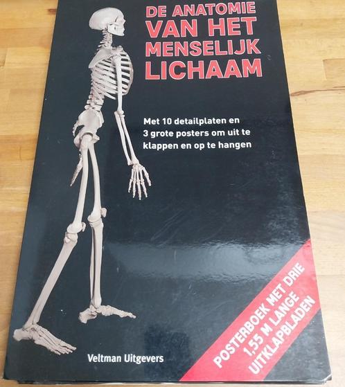 Skelet, Diversen, Schoolbenodigdheden, Ophalen of Verzenden
