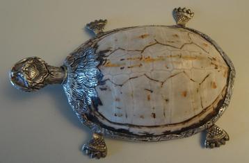 Tortue indienne en argent