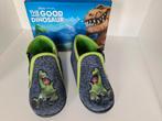 pantoffels, sloefjes, The Good Dinosaur 26, Ophalen of Verzenden, Zo goed als nieuw