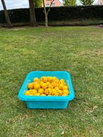 Solo run golfballen, Sport en Fitness, Golf, Ophalen, Zo goed als nieuw, Bal(len), Overige merken