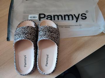 Pammys  beschikbaar voor biedingen