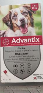 Anti puces chiens ( Bayer), Animaux & Accessoires, Accessoires pour chiens, Enlèvement ou Envoi, Neuf
