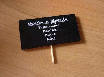 Zwart houten plakkaat Pepermunt beschikbaar voor biedingen