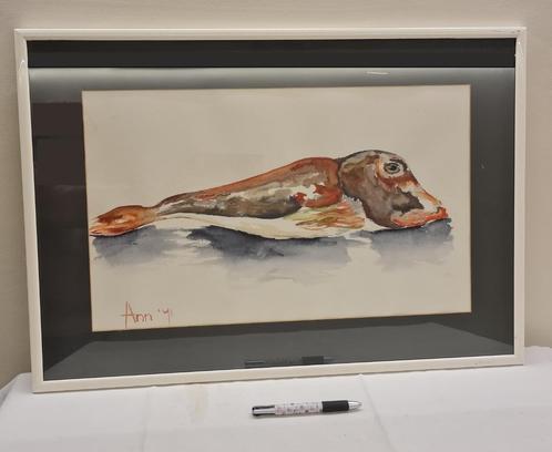 Aquarel van roodgrijze poon, knorhaan 1991, Antiek en Kunst, Kunst | Schilderijen | Modern, Ophalen of Verzenden