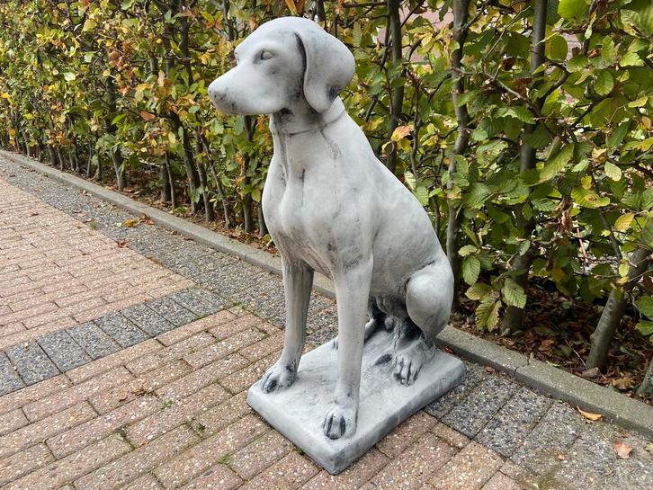 Pointeur, chien, Jardin & Terrasse, Statues de jardin, Neuf, Animal, Béton, Enlèvement