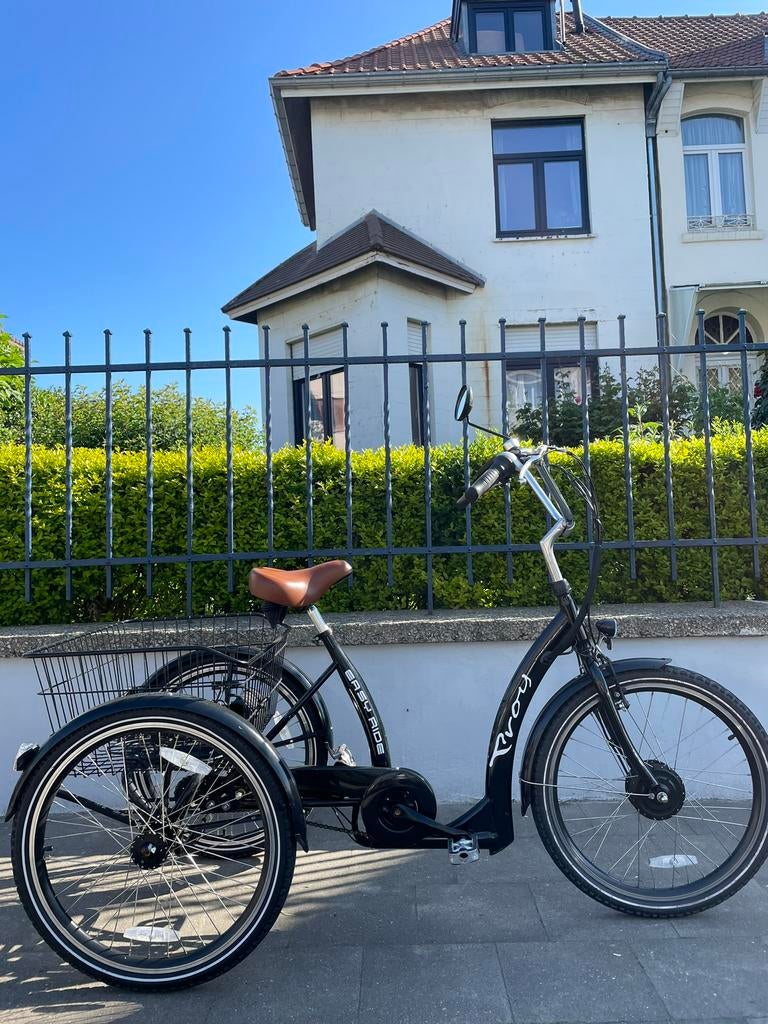 Easy Rider Proxy elektrische driewieler, nieuwstaat, Ophalen of Verzenden, Zo goed als nieuw