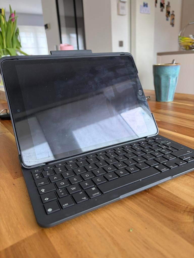 Ipad 9e generatie wifi + 4G ( 256 gb ), Ophalen, Zo goed als nieuw, 256 GB