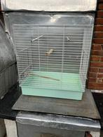 Groot kooi, Enlèvement