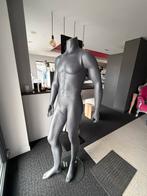 Mannequin vitrine - homme femme complet ou buste, Enlèvement