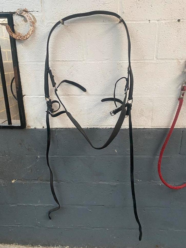 Men koets gerief pony/paarden te koop, Dieren en Toebehoren, Paarden en Pony's | Hoofdstellen en Tuigage, Zo goed als nieuw, Ophalen