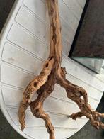 Toebehoren reptielen terrarium, Enlèvement, Comme neuf