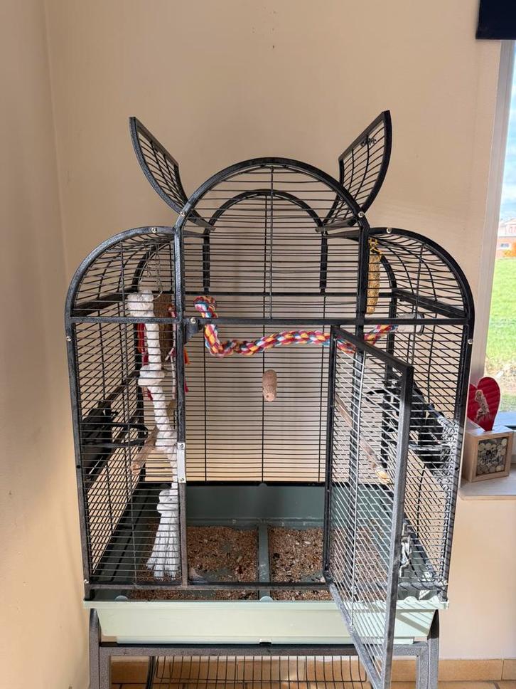 Cage perruche / perroquet, Animaux & Accessoires, Oiseaux | Cages & Volières, Utilisé, Cage à oiseaux, Enlèvement ou Envoi