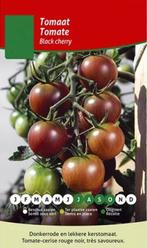 plants de tomates à partir de 25 variétés de tomates, Enlèvement