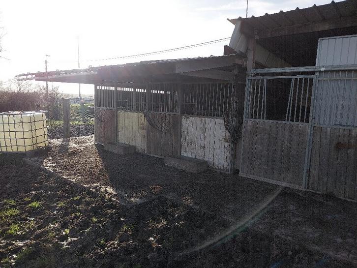 Paardenstal, Animaux & Accessoires, Box & Pâturages, Mise à l'étable, 2 ou 3 chevaux ou poneys