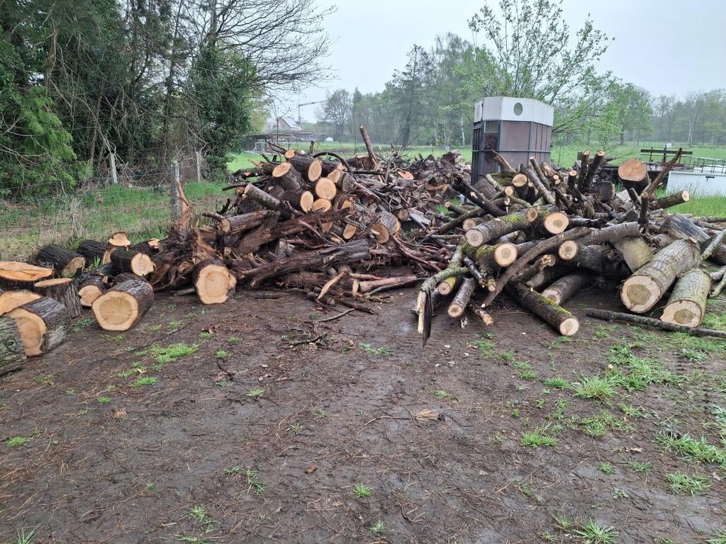 Brandhout, Enlèvement