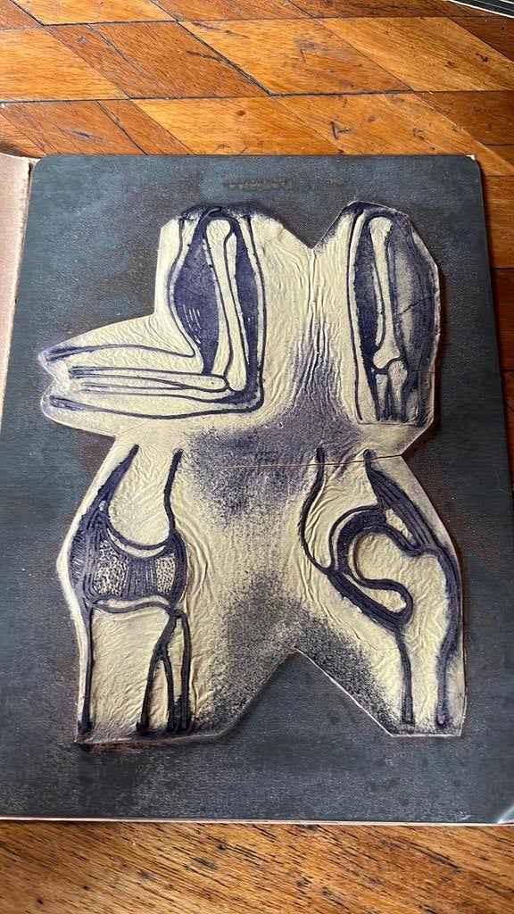 Curiosité.. plaque d’impression organes corps humain, Enlèvement ou Envoi