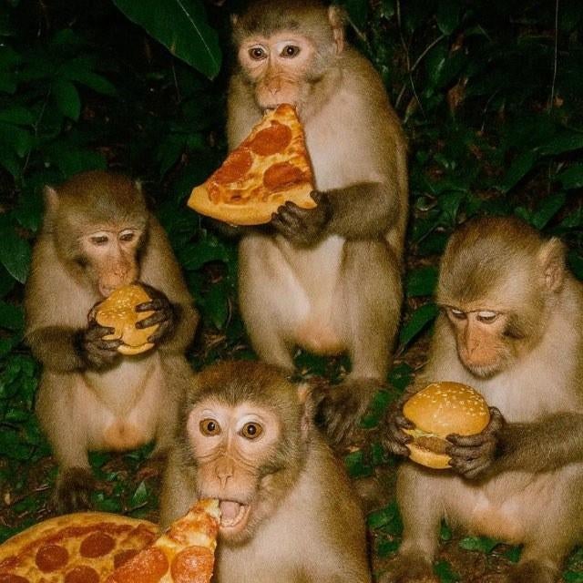 Muti defta, Enlèvement ou Envoi, Utilisé, Autres types, Accessoires