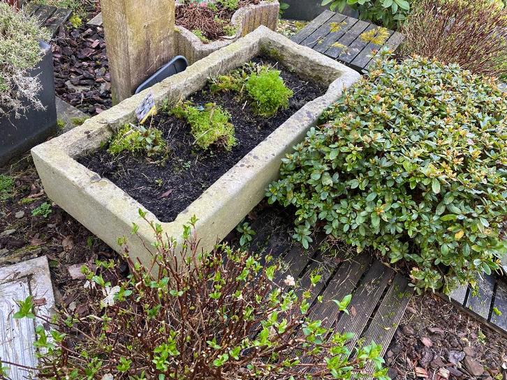 Auge de berceau ancienne, Jardin & Terrasse, Bacs à fleurs & Jardinières, Utilisé, Intérieur, Balcon, Jardin, Moins de 30 cm, 100 cm ou plus