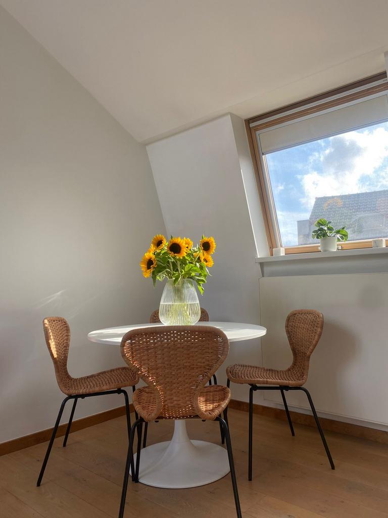 4 rotan stoelen, Ophalen, Zo goed als nieuw, Riet of Rotan