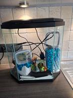 Aquarium + toebehoren, Enlèvement