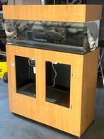 Terrarium, Dieren en Toebehoren, Ophalen, Gebruikt, Terrarium of Paludarium