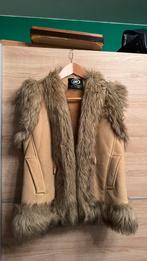 Body warmer merk last woman, Kleding | Dames, Bodywarmers, Ophalen of Verzenden, Zo goed als nieuw