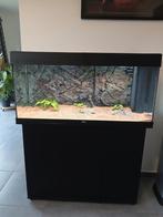 Aquarium juwel 180l, Dieren en Toebehoren, Ophalen of Verzenden