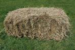 Hooi - 50 pakken beschikbaar, Dieren en Toebehoren, Dierenvoeding, Ophalen