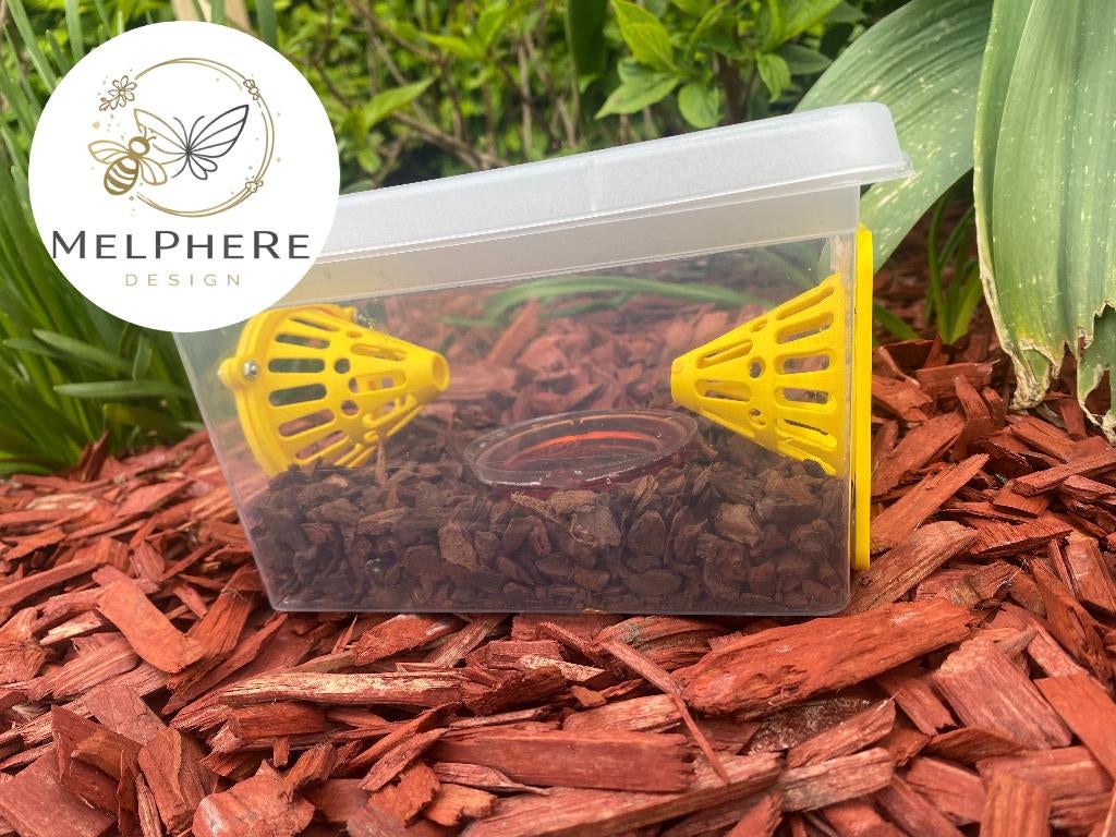 Piège à frelons asiatiques - grilles pour boîte Bee friendly, Animaux & Accessoires, Abeilles