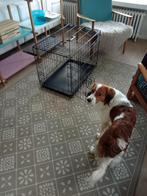 Cage pour chien, Animaux & Accessoires, Caisses pour chiens, Enlèvement