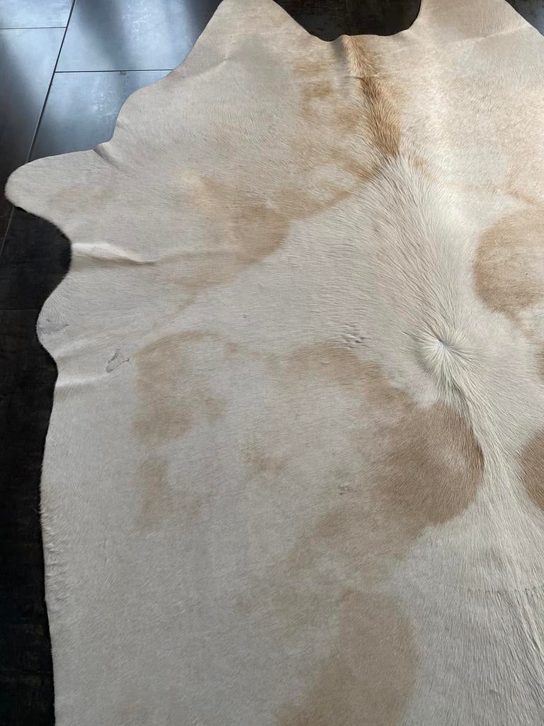 Koevel te koop, Enlèvement, Comme neuf