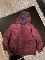 Jack Wolfskin jas maat XL, Paars, Maat 46/48 (XL) of groter, Ophalen of Verzenden, Jack Wolfskin