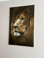 Glazen fotokader leeuw, Antiek en Kunst, Ophalen