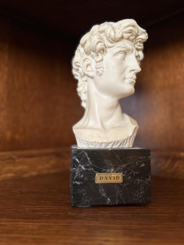 Buste van David, Antiek en Kunst, Kunst | Beelden en Houtsnijwerken, Ophalen