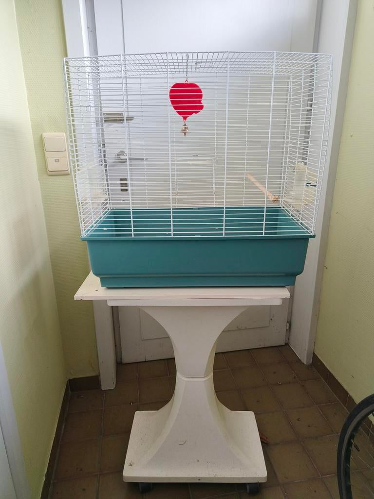 Vogelkooi, Dieren en Toebehoren, Ophalen, Vogelkooi