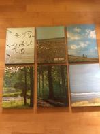 Natuur- en vogelreservaten in België, Boeken, Ophalen, Zo goed als nieuw, Wandel- of Recreatiegebieden