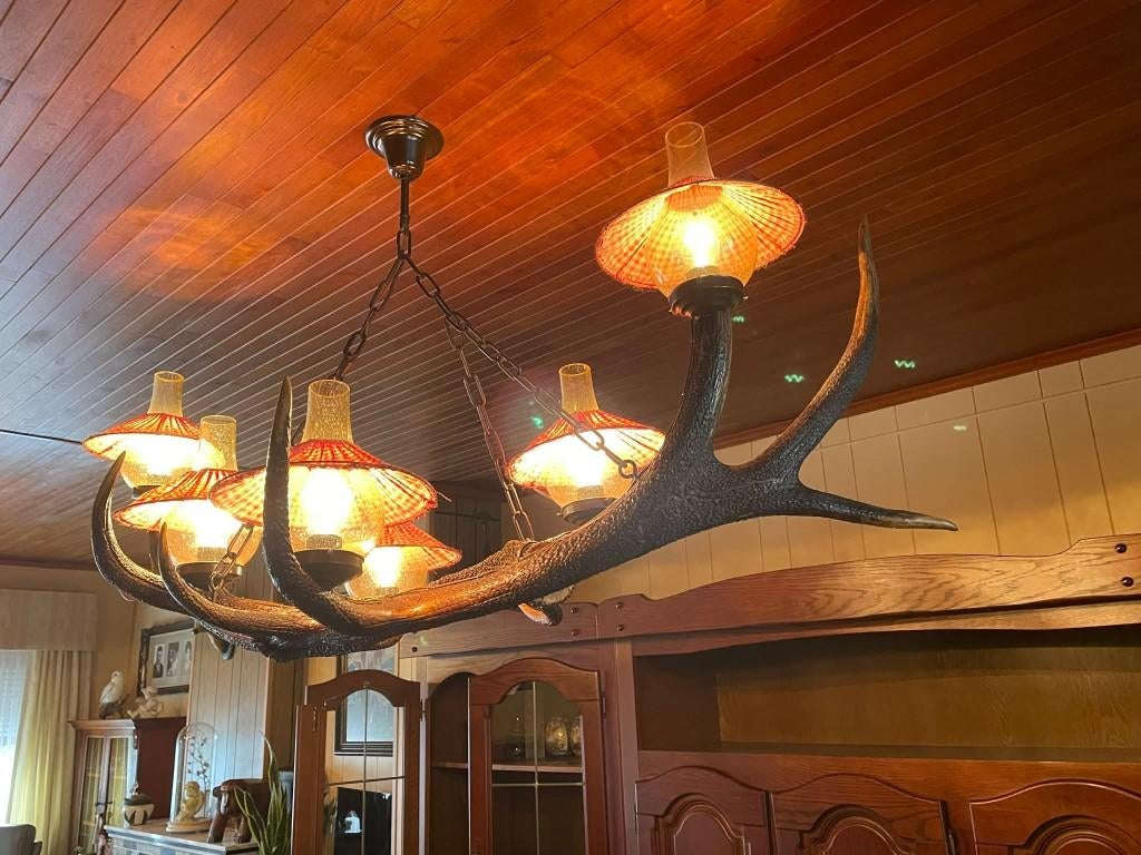 authentieke luster echt gewei, Ophalen