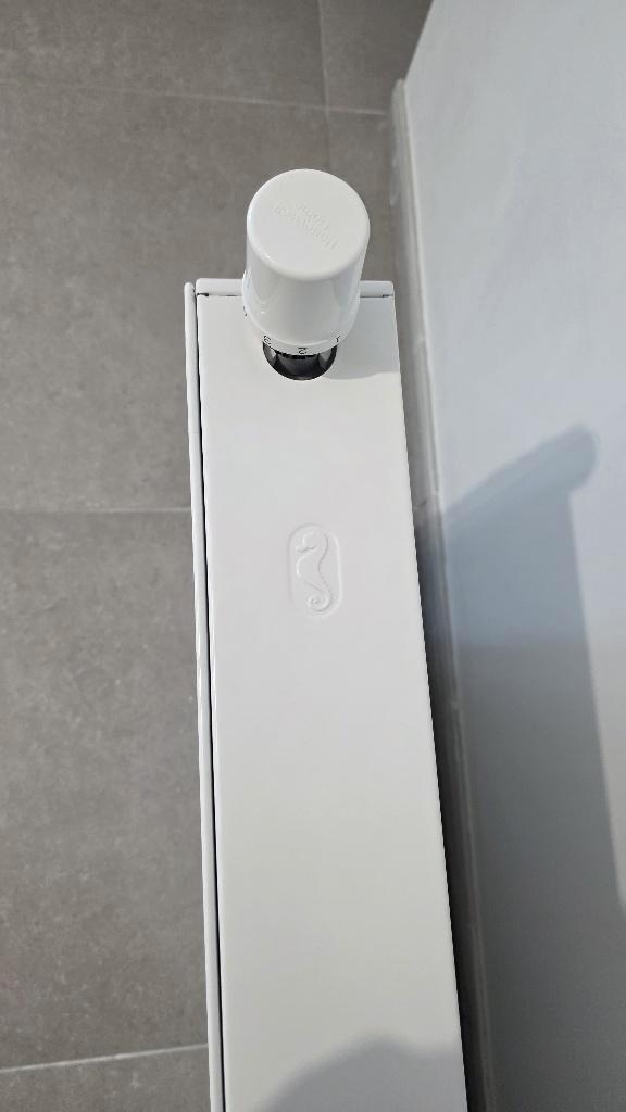 Radiateur, Doe-het-zelf en Bouw, Verwarming en Radiatoren, Zo goed als nieuw, Radiator, Ophalen