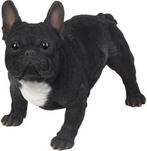 Franse Bulldog tuinbeeld, Ophalen of Verzenden