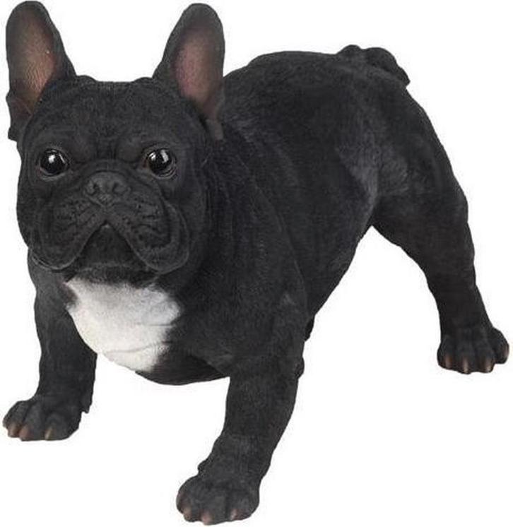 Franse Bulldog tuinbeeld, Tuin en Terras, Tuinbeelden, Ophalen of Verzenden