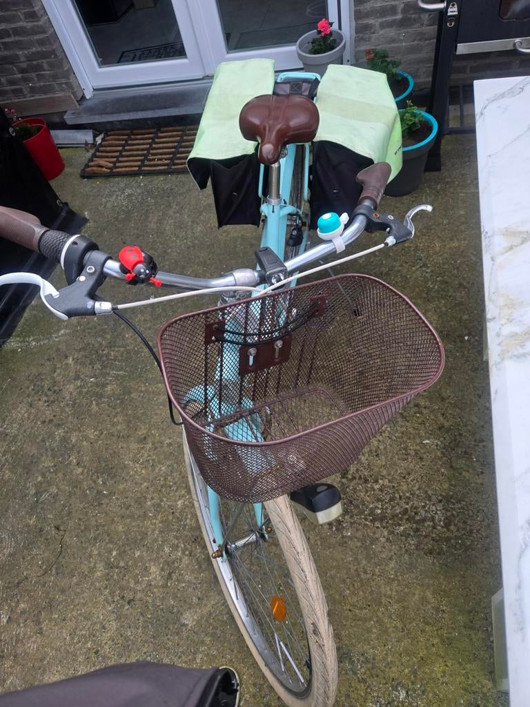 Dames fietsen, Enlèvement